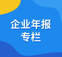 企业年报专栏