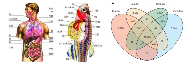 QQ图片20210401161326