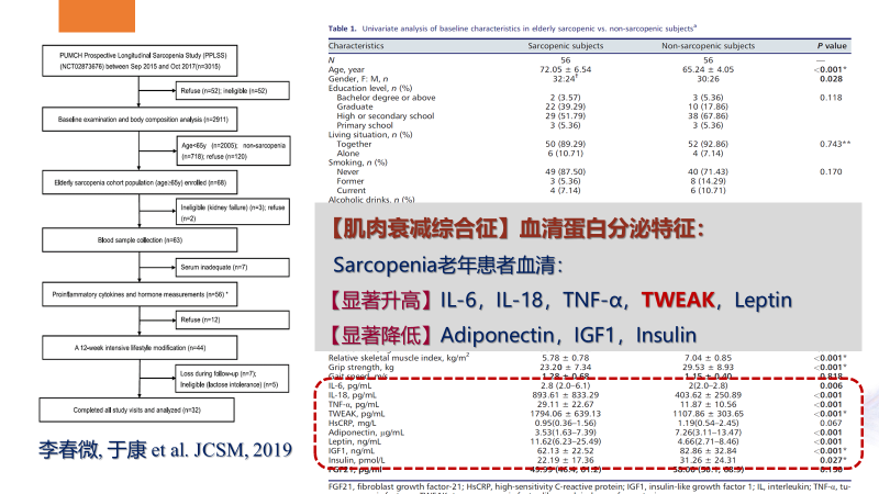 图片11