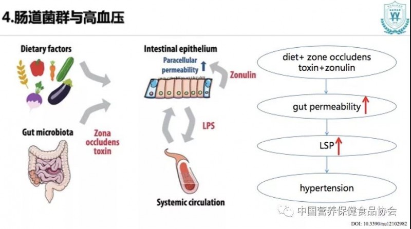 微信图片_20210810084824