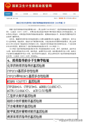 叶子6