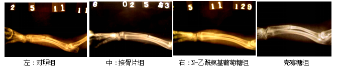 协会8