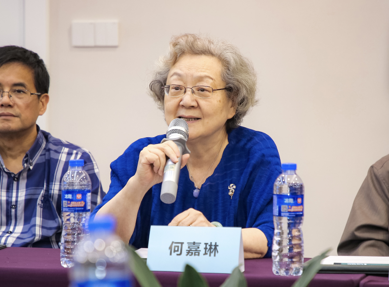 杭州市中医院终身学术导师何嘉琳在发布会上发言